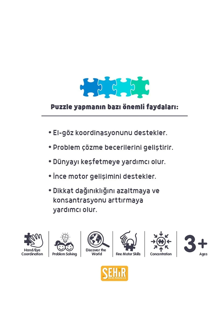 Yıldızlı Gece 1000 Parça Profesyonel Hobi Puzzle Yapboz Serisi - Şehir Online Mağazacılık